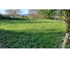 Terreno para construir vivienda en el pueblo de Luengas, junto a Santiago de Tudela