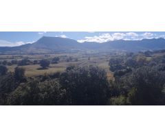 TERRENO URBANIZABLE DE CASI 6 HECTAREAS