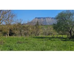 TERRENO URBANO EN ENTRAMBASAGUAS