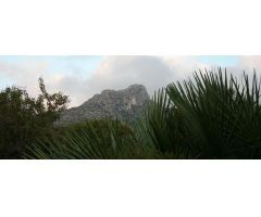 Parcela en Venta en Orba, Alicante