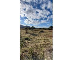 Parcela en Venta en Denia, Alicante