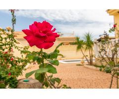 Chalet independiente a la venta en Playa Flamenca