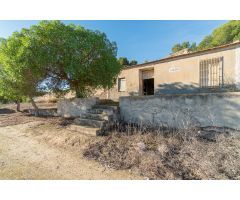 FINCA RUSTICA CON VIVIENDA PARA REHABILITAR EN PILAR DE LA HORADADA