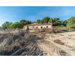 FINCA RUSTICA CON VIVIENDA PARA REHABILITAR EN PILAR DE LA HORADADA
