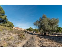 FINCA RUSTICA CON VIVIENDA PARA REHABILITAR EN PILAR DE LA HORADADA