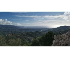Finca rustica en Venta en Torrox Costa, Málaga