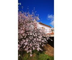 Finca rustica en Venta en Torrox Costa, Málaga