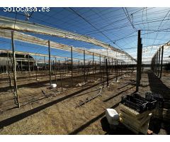 Solar urbano en Venta en Almayate Bajo, Málaga