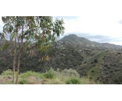 Finca rustica en Venta en Cómpeta, Málaga