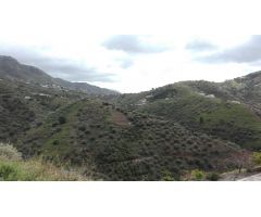 Finca rustica en Venta en Cómpeta, Málaga