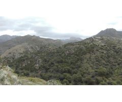 Finca rustica en Venta en Cómpeta, Málaga
