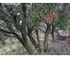 Venta de parcela en Ayegui ( Iratxe)