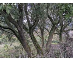Venta de parcela en Ayegui ( Iratxe)