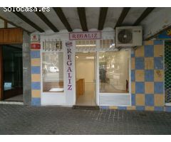 Local comercial en Estella