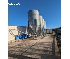 Venta de granja de conejo