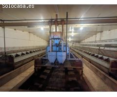 Venta de granja de conejo