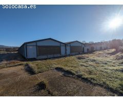 Venta de granja de conejo