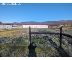 Venta de granja de conejo