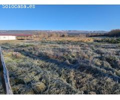 Venta de granja de conejo