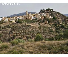 TERRENO DE 385 M2 EN LA NUCIA (IDEAL PARA HUERTO, PLANTAR ARBOLES FRUTALES..)
