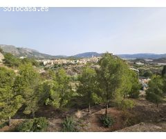 TERRENO DE 385 M2 EN LA NUCIA (IDEAL PARA HUERTO, PLANTAR ARBOLES FRUTALES..)
