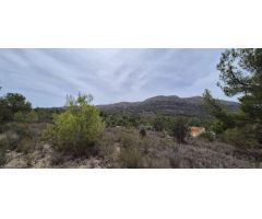 CASA DE CAMPO PARA REFORMAR CON 21000 M2 DE TERRENO EN FINESTRAT