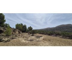 CASA DE CAMPO PARA REFORMAR CON 21000 M2 DE TERRENO EN FINESTRAT