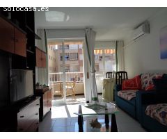 Estudio con piscina en Torrevieja cerca de la playa del Cura