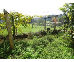 Casa en Venta en Villamateo, La Coruña