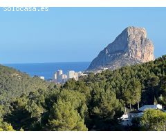 Terreno en venta Alicante