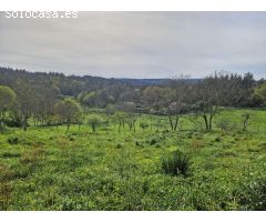 FINCA CON VISTAS EN ZONA DE TRASMONTE, AMES