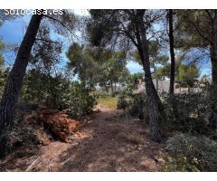 Terreno en venta Alicante