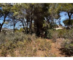 Terreno en venta Alicante