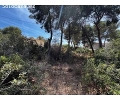 Terreno en venta Alicante