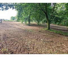 FINCA AMPLIA SEGREGABLE EN ZONA DE TRASMONTE, AMES