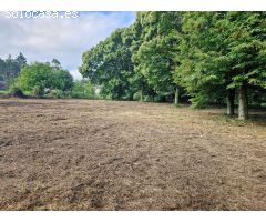 FINCA AMPLIA SEGREGABLE EN ZONA DE TRASMONTE, AMES