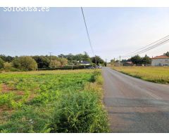 VENTA DE 3 FINCAS JUNTAS EN ZONA DE CALO