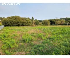 VENTA DE 3 FINCAS JUNTAS EN ZONA DE CALO