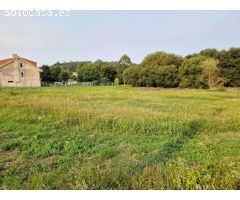 VENTA DE 3 FINCAS JUNTAS EN ZONA DE CALO