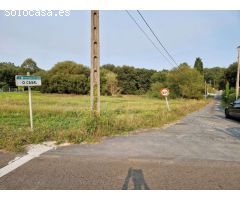 VENTA DE 3 FINCAS JUNTAS EN ZONA DE CALO