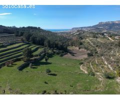 Terreno en venta Alicante