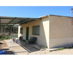 Parcela con nave en el termino de Crevillente