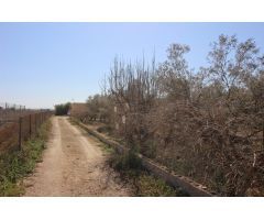 Parcela con nave en el termino de Crevillente