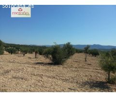 Finca rustica en Venta en Huertas de Villena, Alicante