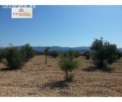 Finca rustica en Venta en Huertas de Villena, Alicante