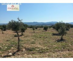 Finca rustica en Venta en Huertas de Villena, Alicante