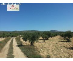 Finca rustica en Venta en Huertas de Villena, Alicante