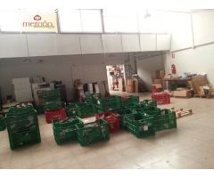 Nave industrial en Venta en Elche pedanias, Alicante