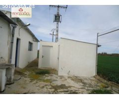 Nave industrial en Venta en San Fulgencio, Alicante