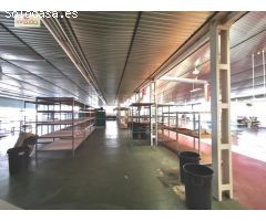 Nave industrial en Venta en Elche de la Sierra, Alicante